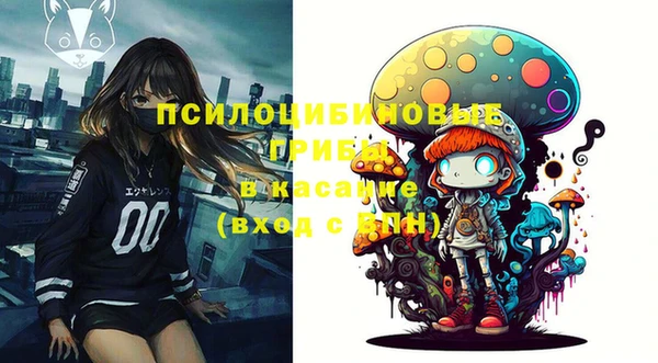 мдпв Баксан