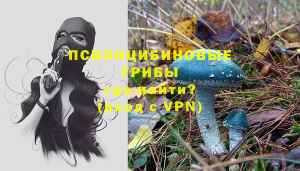 мяу мяу мука Балабаново