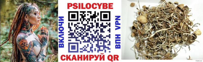 shop Telegram  Лесозаводск  Псилоцибиновые грибы Magic Shrooms  где можно купить  